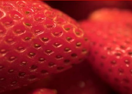 草莓香型整理